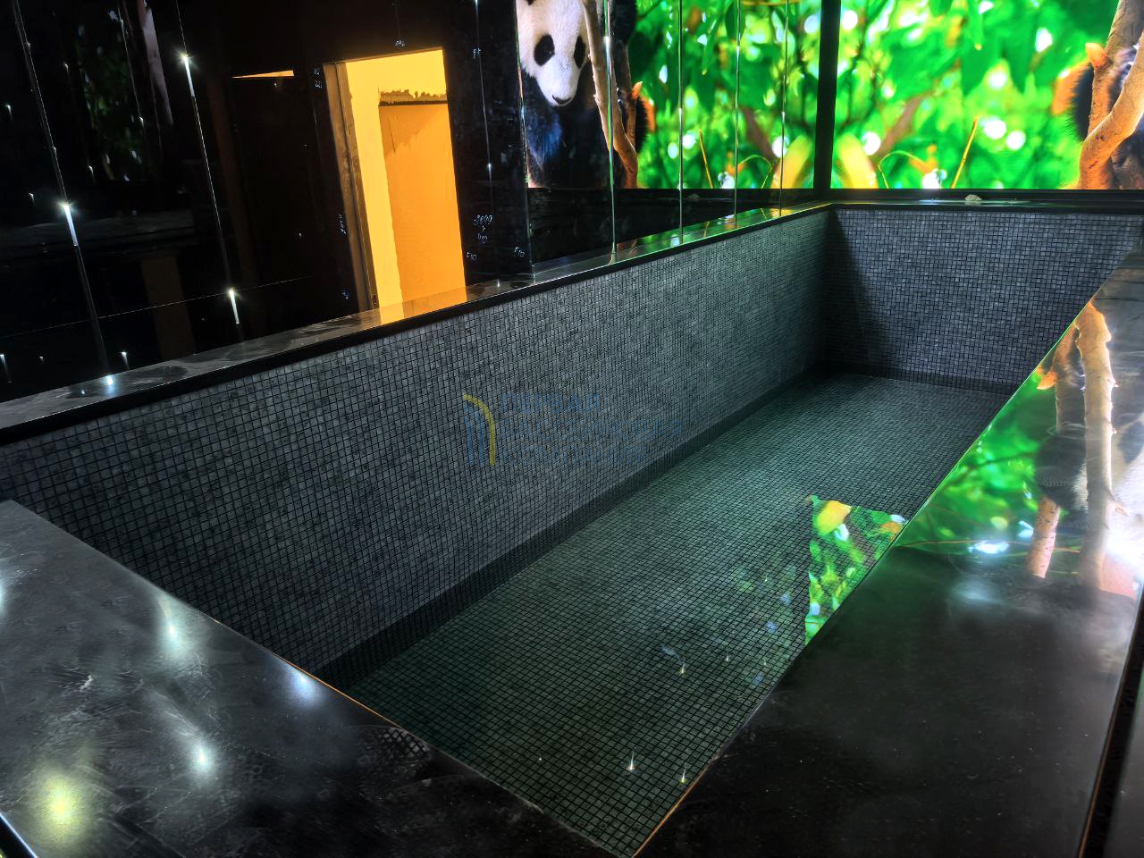 Панельный бассейн в апартаментах люкс-класса