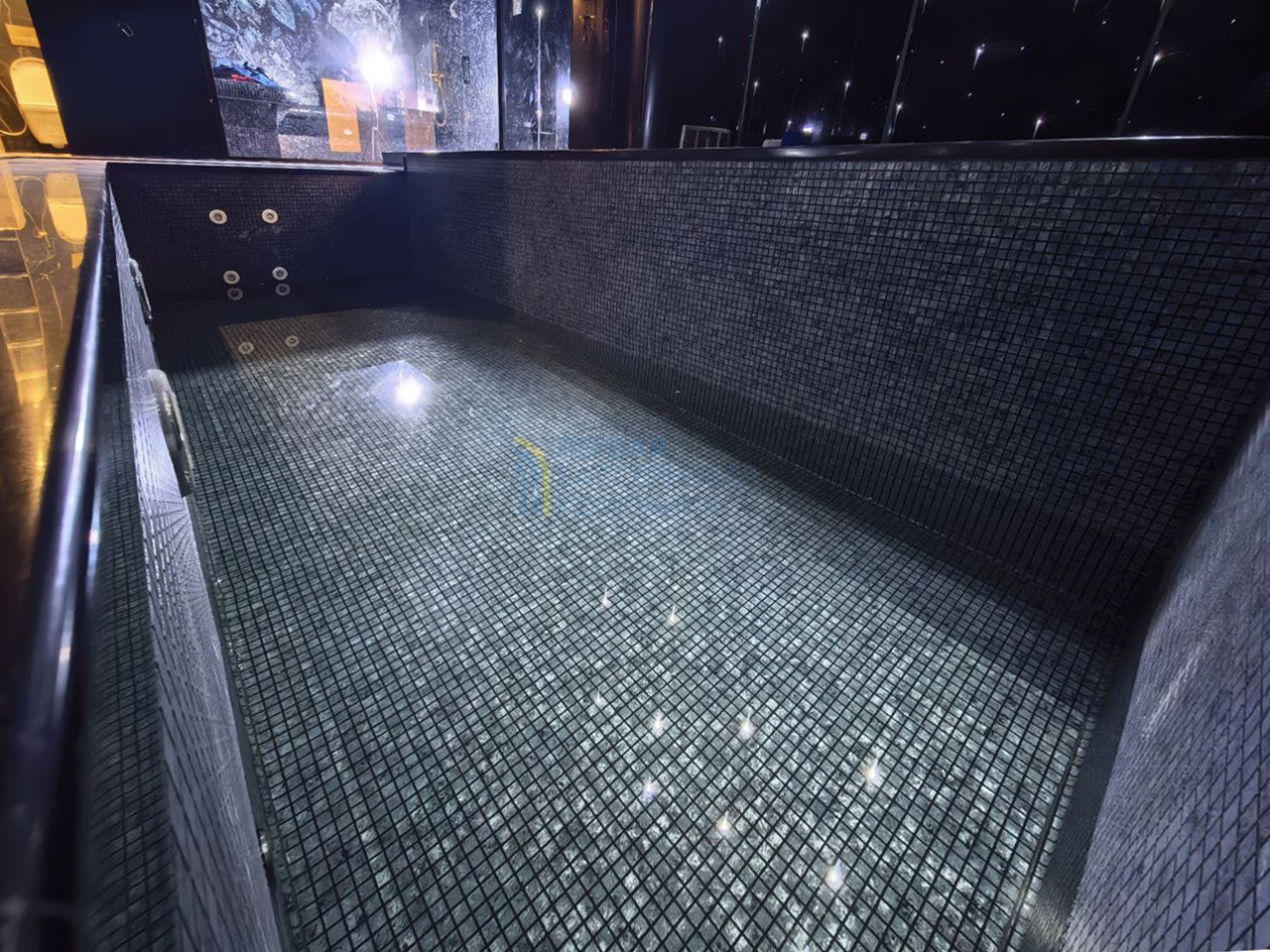 Панельный бассейн в апартаментах люкс-класса