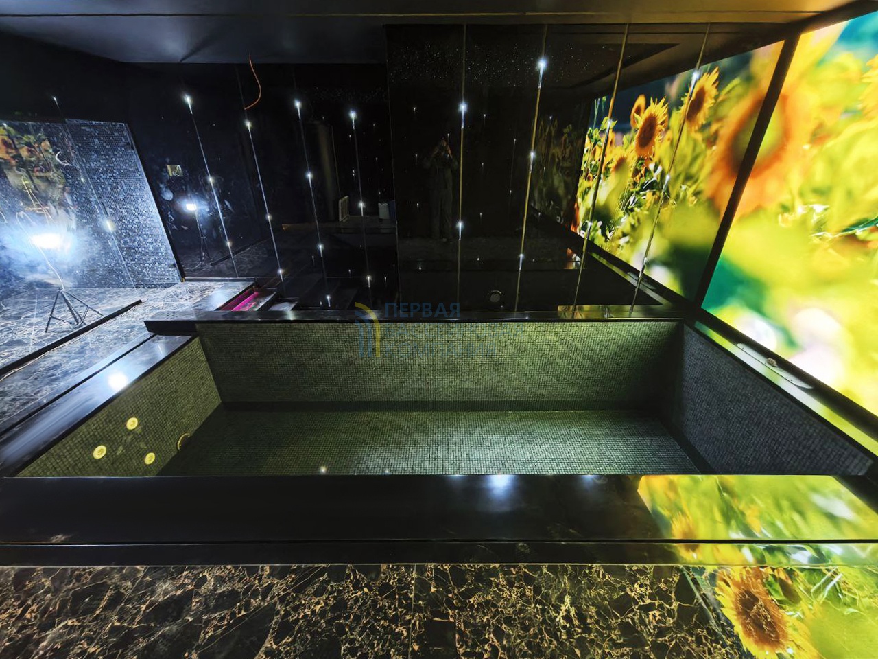 Панельный бассейн в апартаментах люкс-класса